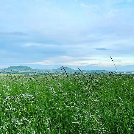 Rusztika Country