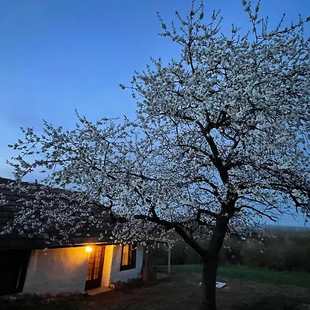 호텔 Rusztika Country