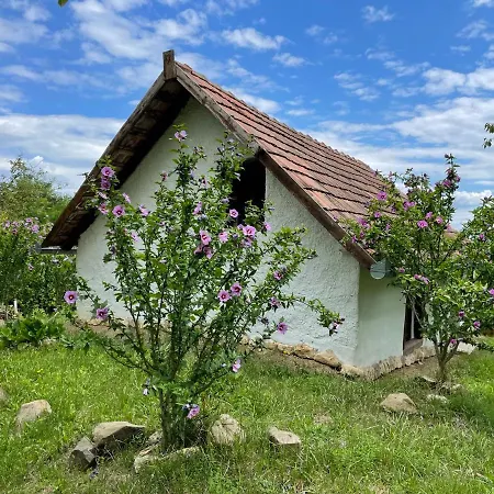 Rusztika Country 호텔